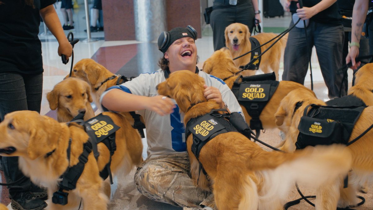 WeRateDogs tweet media