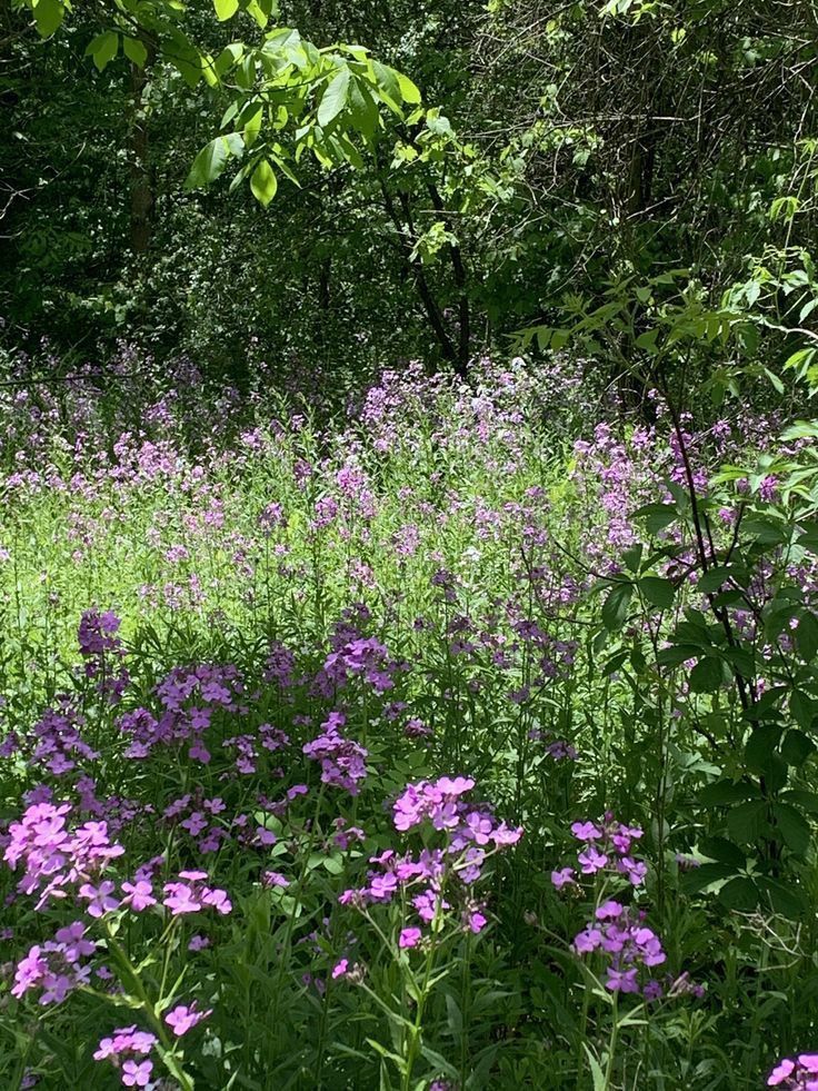 Wa-Bush (@bondzabby) on Twitter photo 