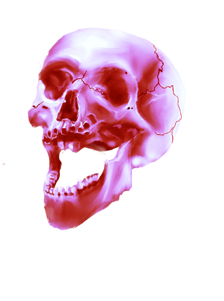 98Aviii's tweet photo. Morning painting session 
#skullpainting #paintingoftheday #artmoots #artshare #digitalartist https://t.co/u9sxeNtehS