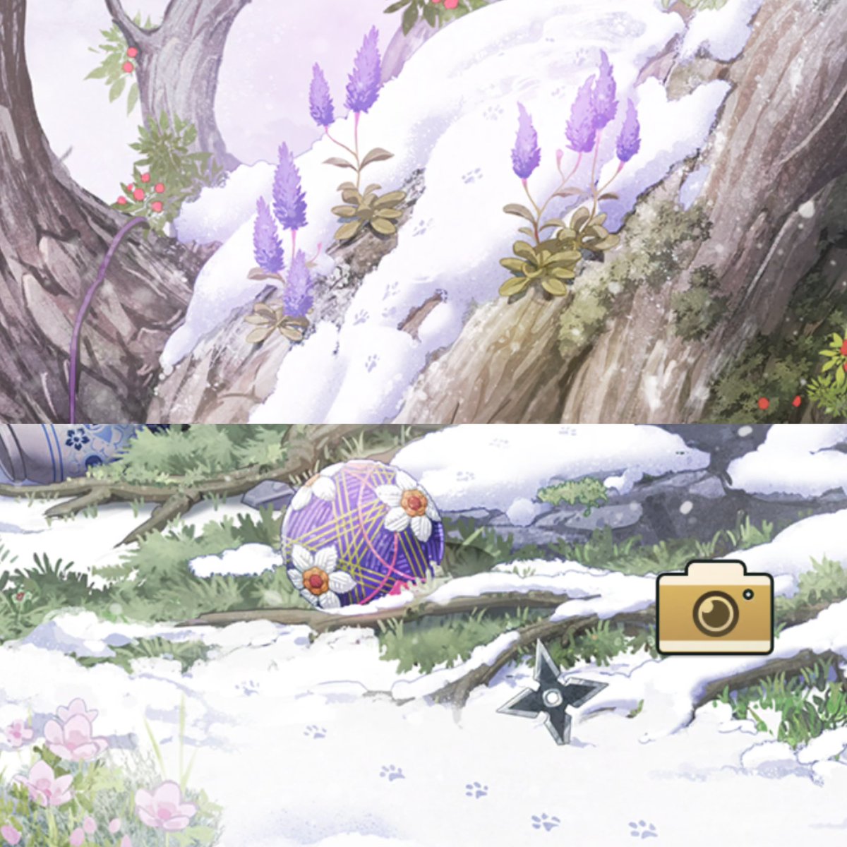 可愛的小腳印🐾