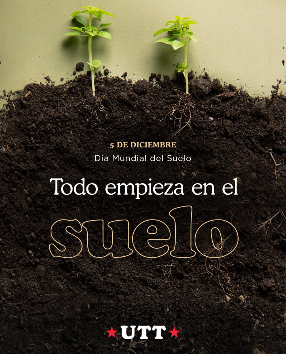 uttnacional's tweet image. 🌱𝐓𝐎𝐃𝐎 𝐄𝐌𝐏𝐈𝐄𝐙𝐀 𝐄𝐍 𝐄𝐋 #SUELO🌱
#hoy se celebra el Día Mundial del Suelo, un bien natural que nos provee del 95% de los alimentos y que se encuentra cada vez más degradado.