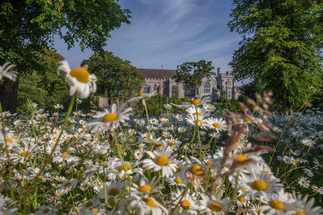 AtlanticProgram's tweet image. UCC has been named the 2nd most sustainable university in the world and #1 for energy and climate action! 🌍

This marks 9 years in a row in the UI GreenMetric Top 10 ⭐

📷 @UCC