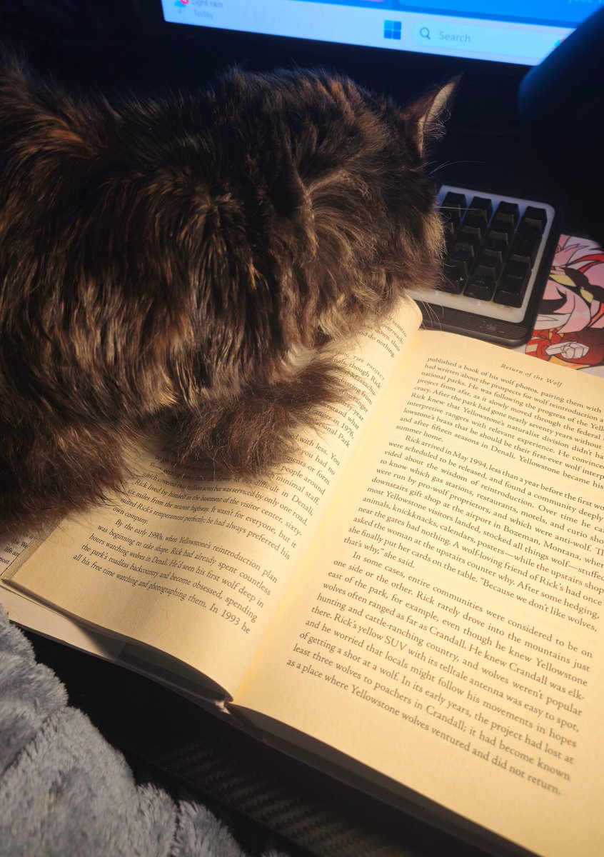 SnowfishIsOut's tweet photo. Does she mind I'm trying to read my book https://t.co/ywz6dl2WCa