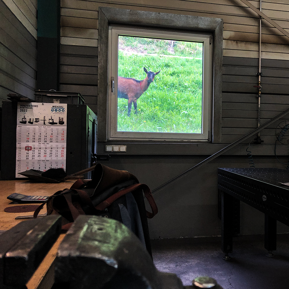 WENZEL America tweet media