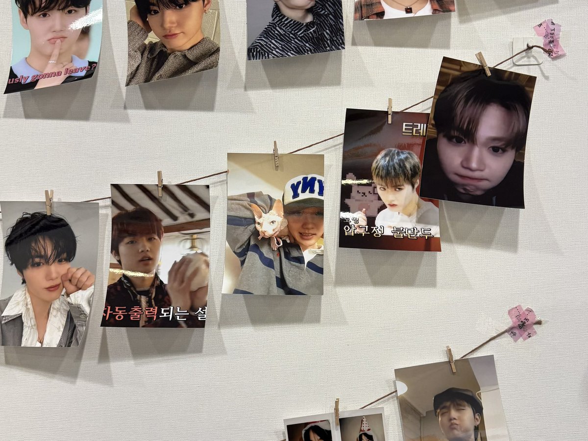 코오 tweet media