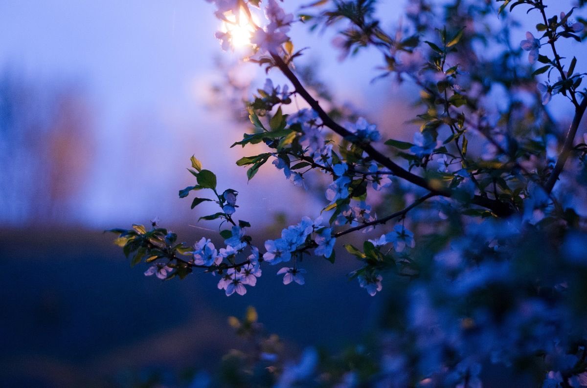 𝓝𝓞𝓞𝓡 tweet media