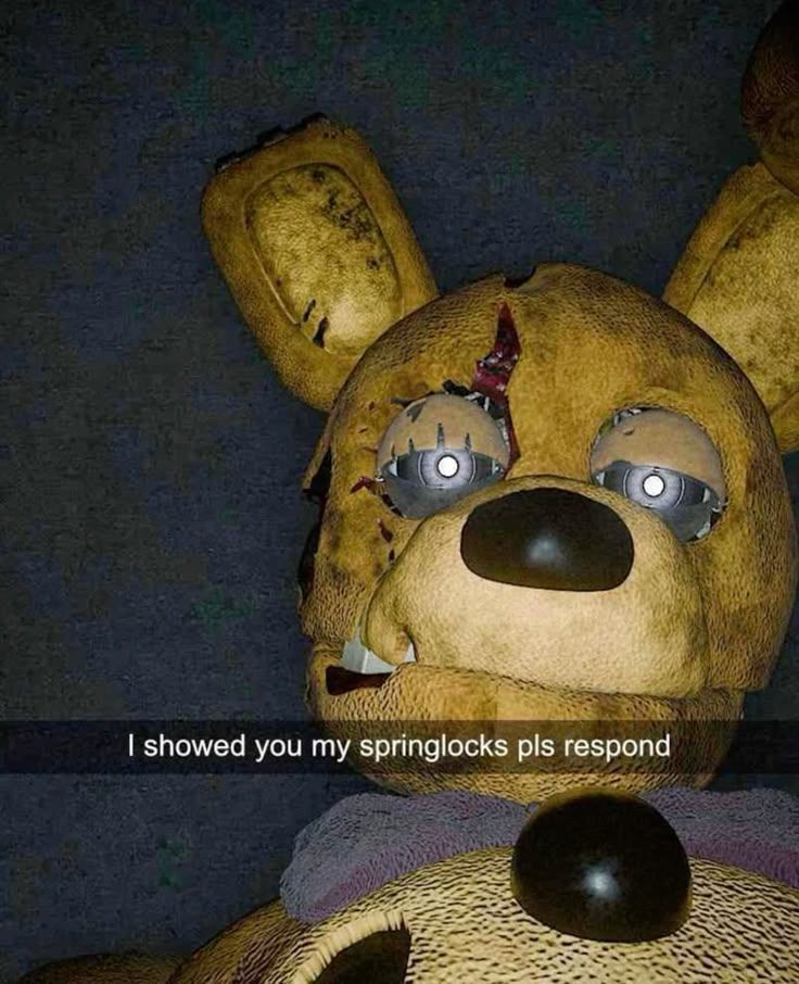 hourly_shitpost's tweet image. 