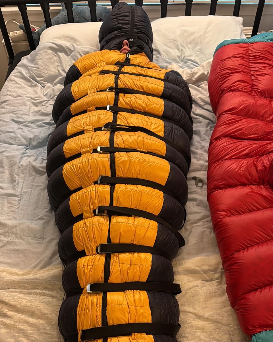 RangePup tweet media