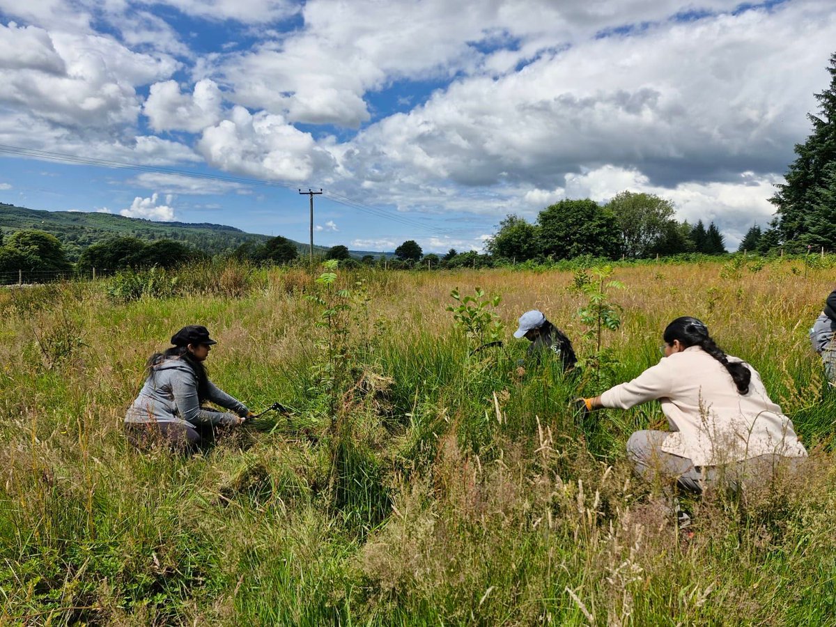 💚 #InternationalVolunteerDay
Volunteers are helping to protect #ScotlandsRainforest &amp; connect with nature 🌿
Heather shares more in her new blog:
🔗 buff.ly/5AiXRyb
<a href="/BigGive/">Big Give</a> #ChristmasChallenge donations doubled right now to grow this work:
🔗 buff.ly/6MLczSU