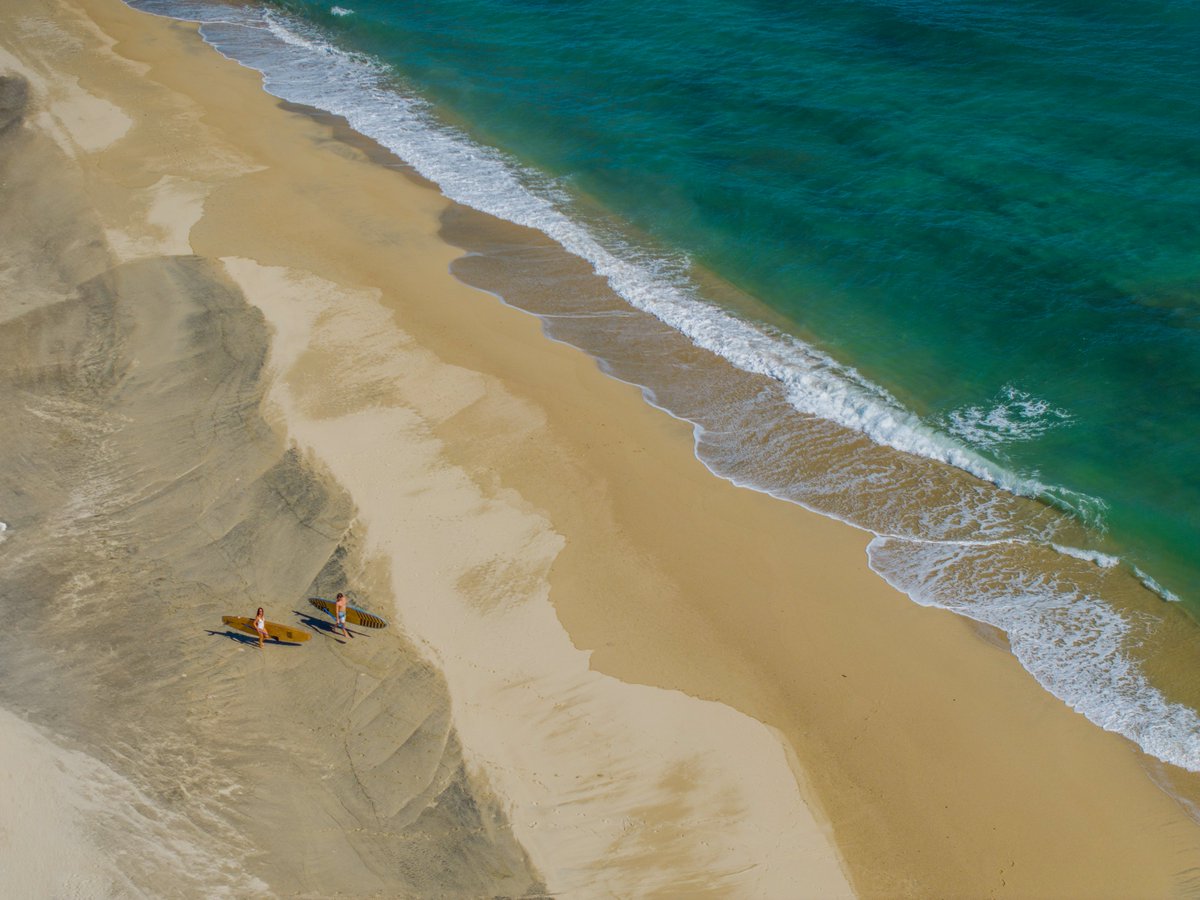 Los Cabos tweet media