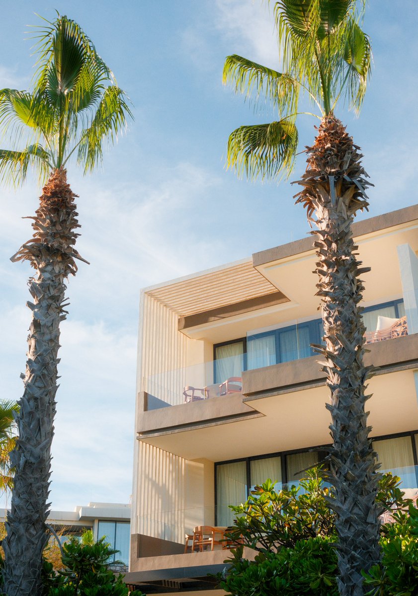 Los Cabos tweet media