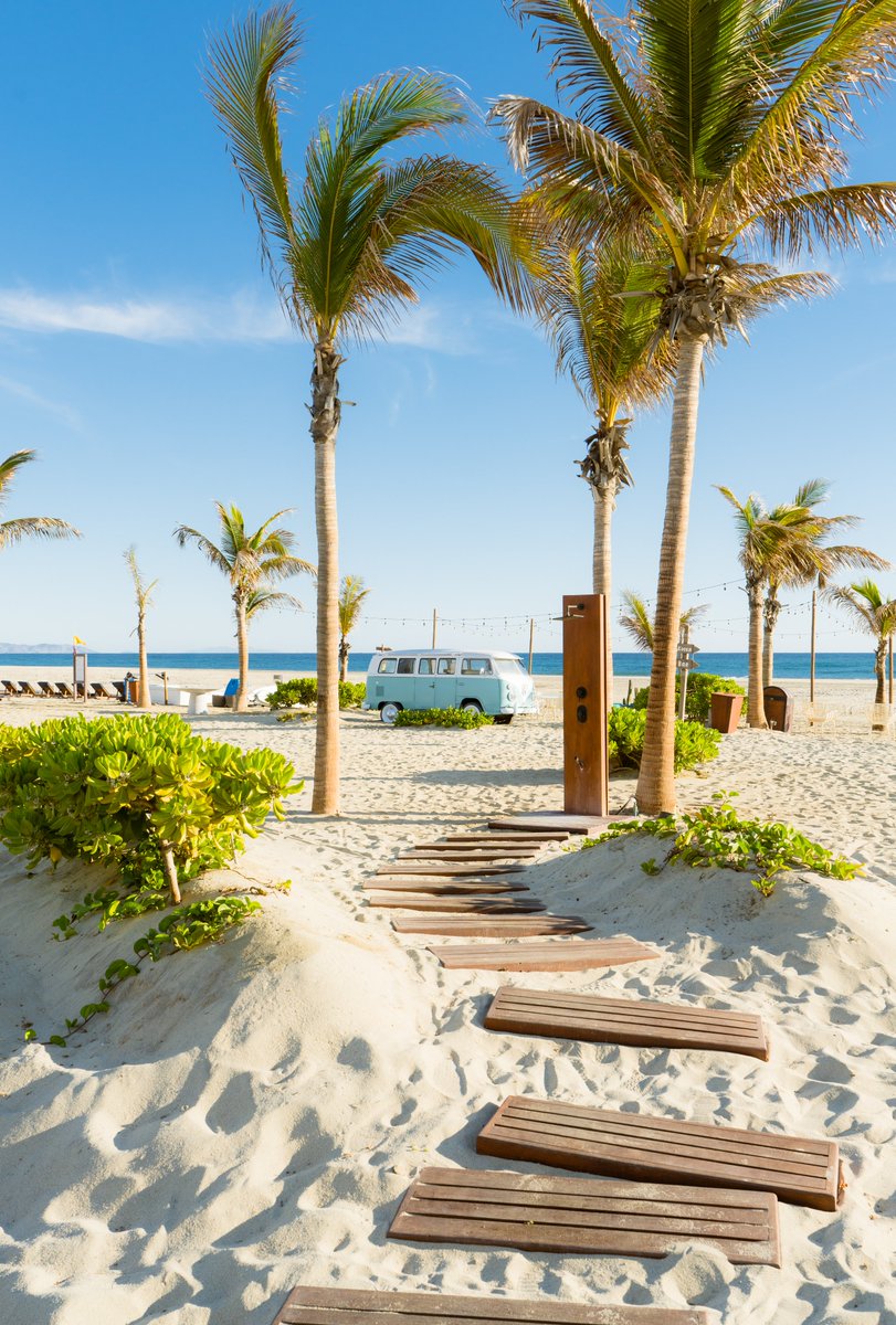 Los Cabos tweet media