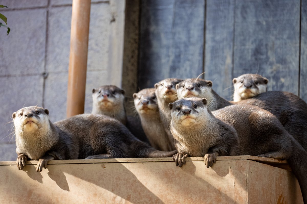 SCZ男子チーム7人衆のわちゃわちゃ感！ #埼玉県こども動物自然公園