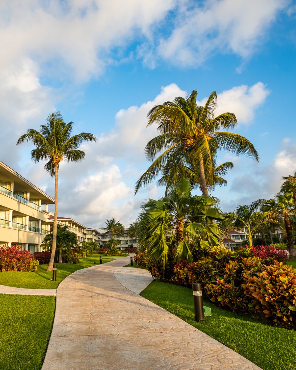 Deep Dive with Umphrey’s McGee tweet media