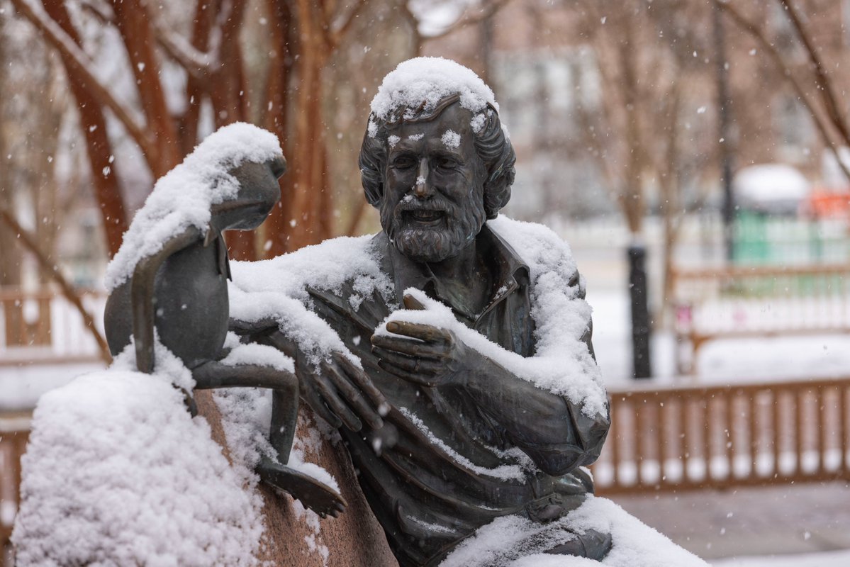 First snow of the season ❄️💛