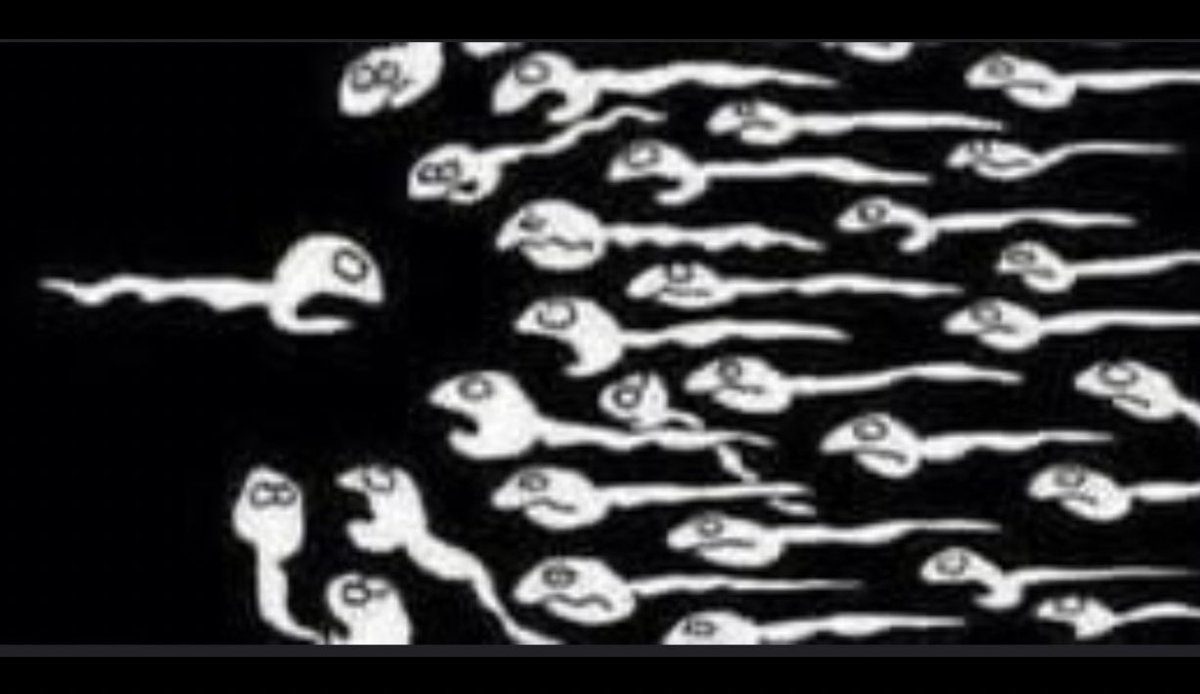 TOIS🌴 tweet media