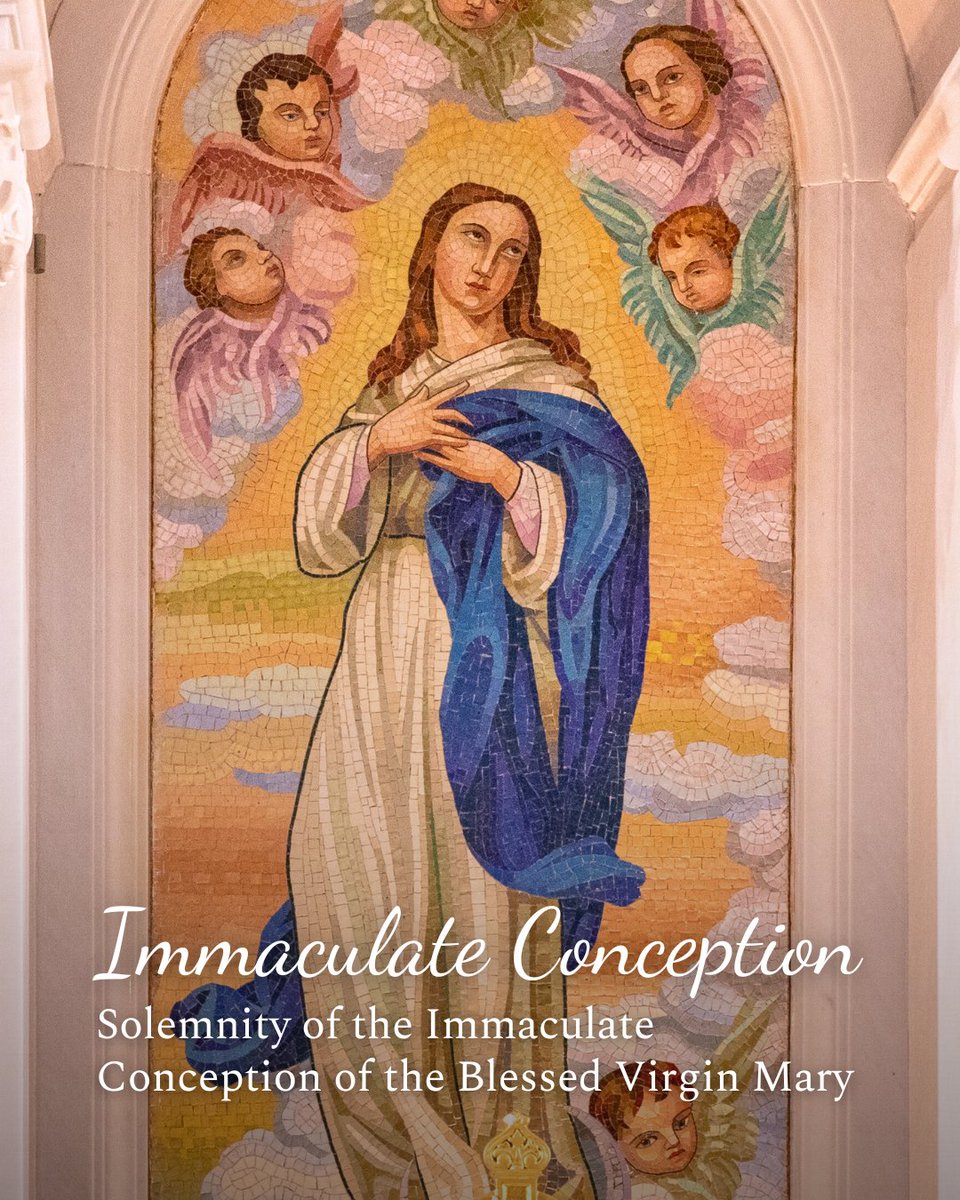 Diocese of Austin tweet media