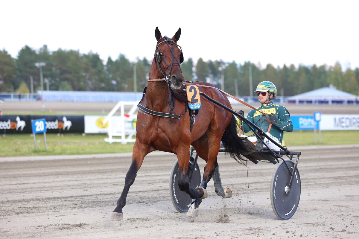 Ulla Meriläinen tweet media