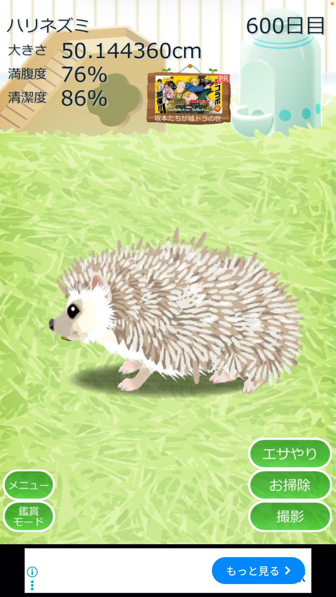 600日おめでとう。そしてありがとう