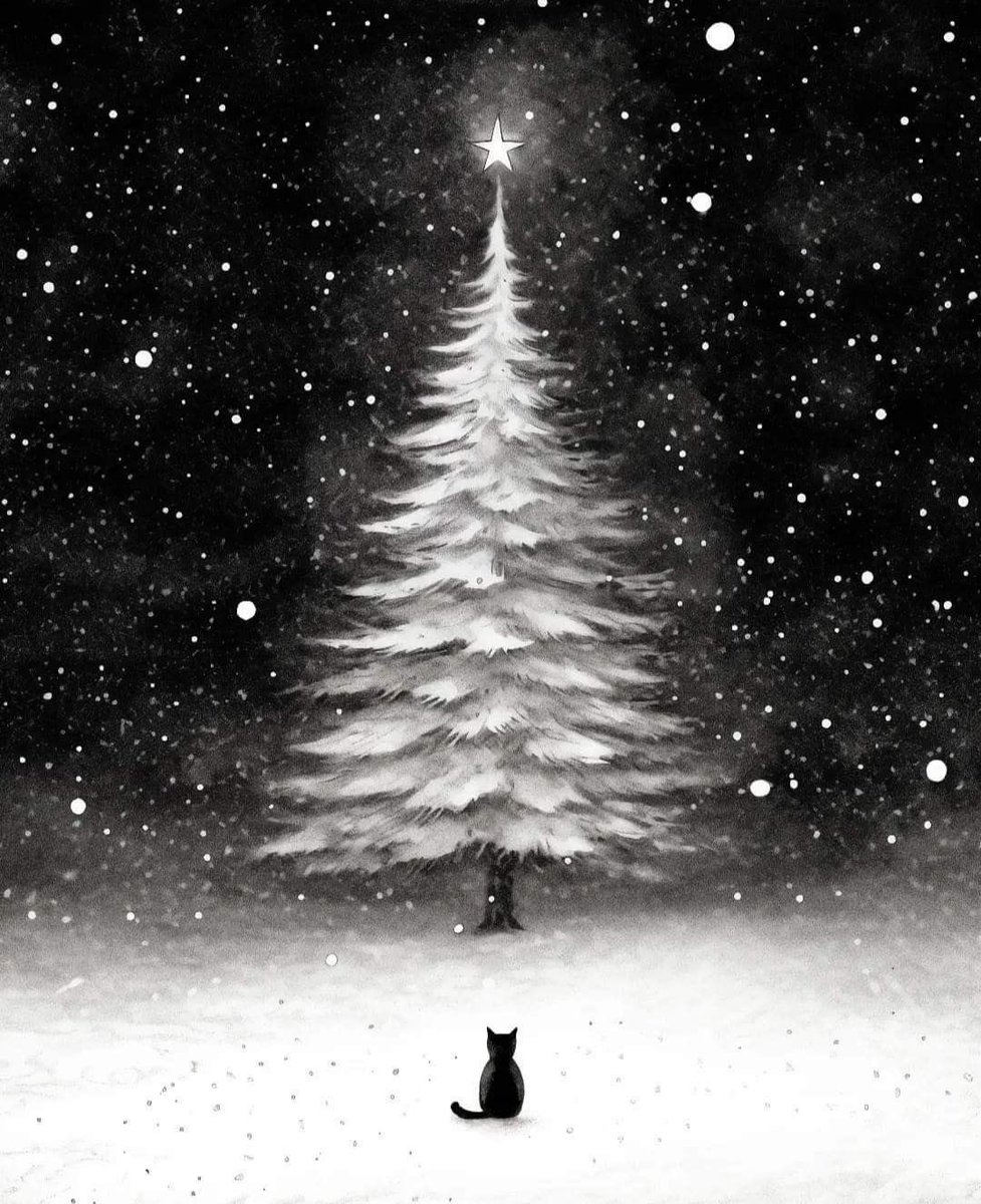 Gianni® (@giannij08) on Twitter photo 