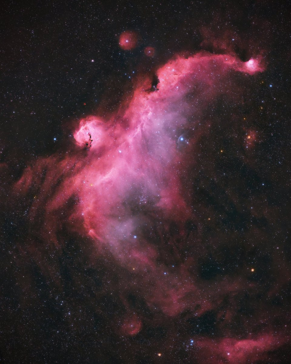 AstroBackyard's tweet image. The Seagull Nebula 🌌

Here is a spectacular astrophotography target to try with your wide-field refractor this winter.

I took this one using a super portable (quickly set up and run back inside) on a freezing cold night in February.

This massive emission nebula is hiding on…