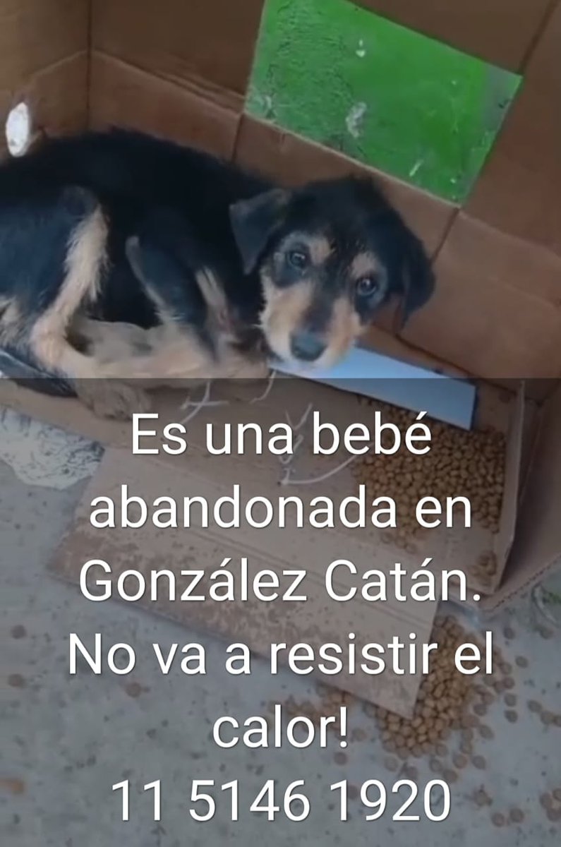 Rt
Ayuda urgente