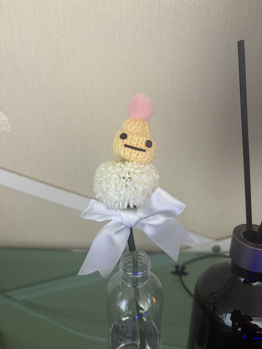 키우는 꽃
이름은 James(자메스)