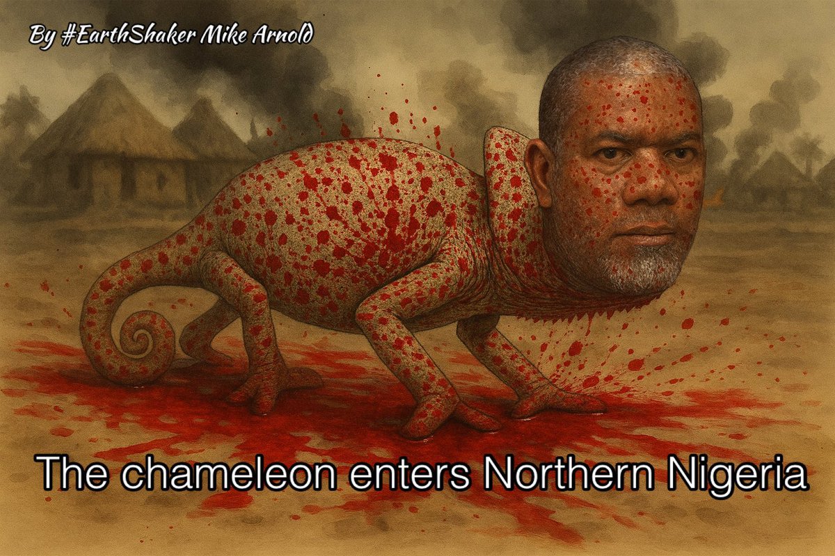 Onyeka12335101's tweet image. 