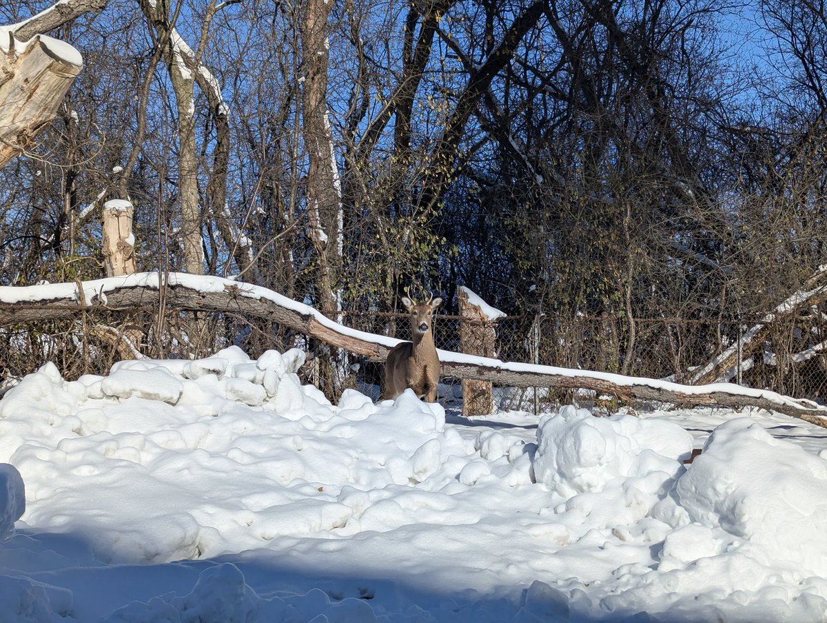 Shoutout to my boi who greeted us at the #FurFest parking garage

Kindred spirit if I ever saw one