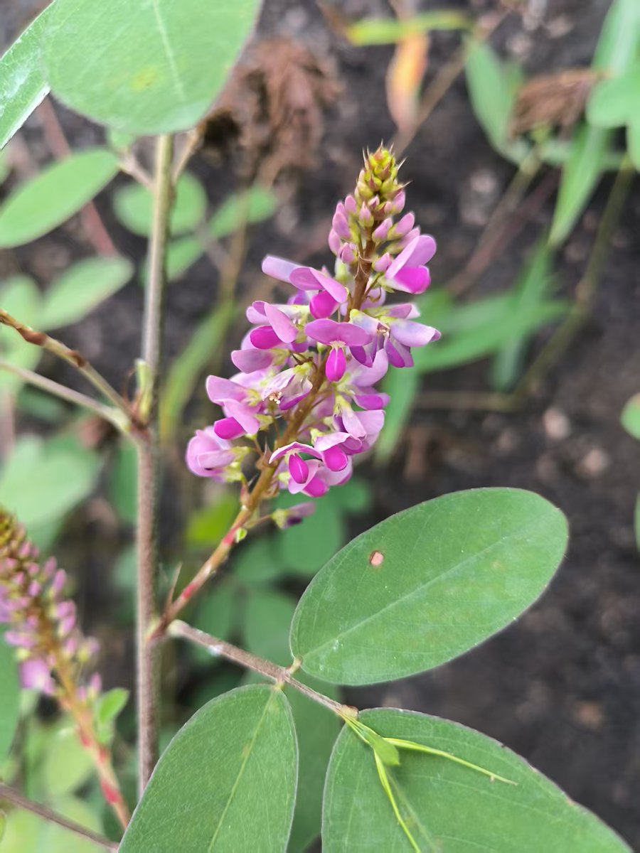 wdr2oversea (@wdr2oversea) on Twitter photo 