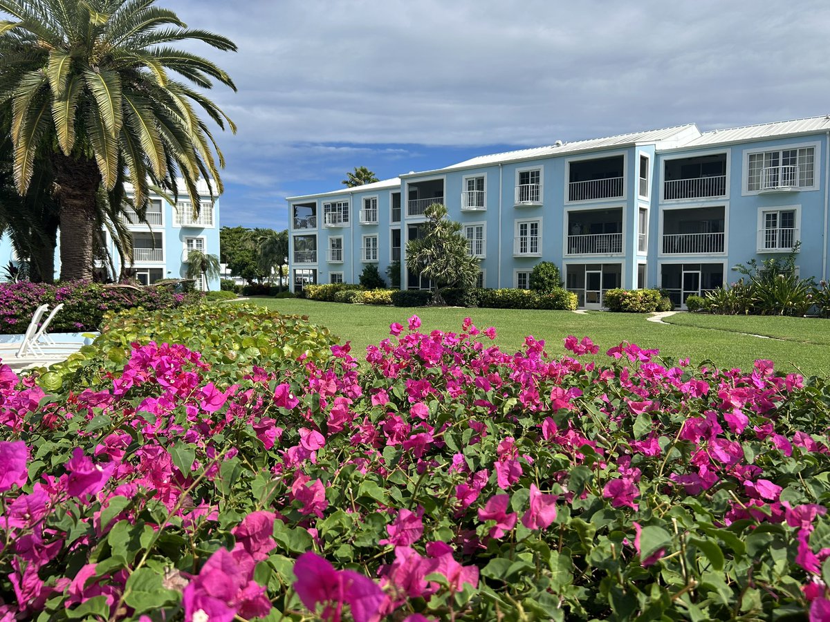 Those vibrant pink bougainvillea and the wide green lawn look like pure island serenity — and that palm tree completes the view. 🌺🌴✨ grandviewcondos.com
#GrandCayman #GrandviewCondos