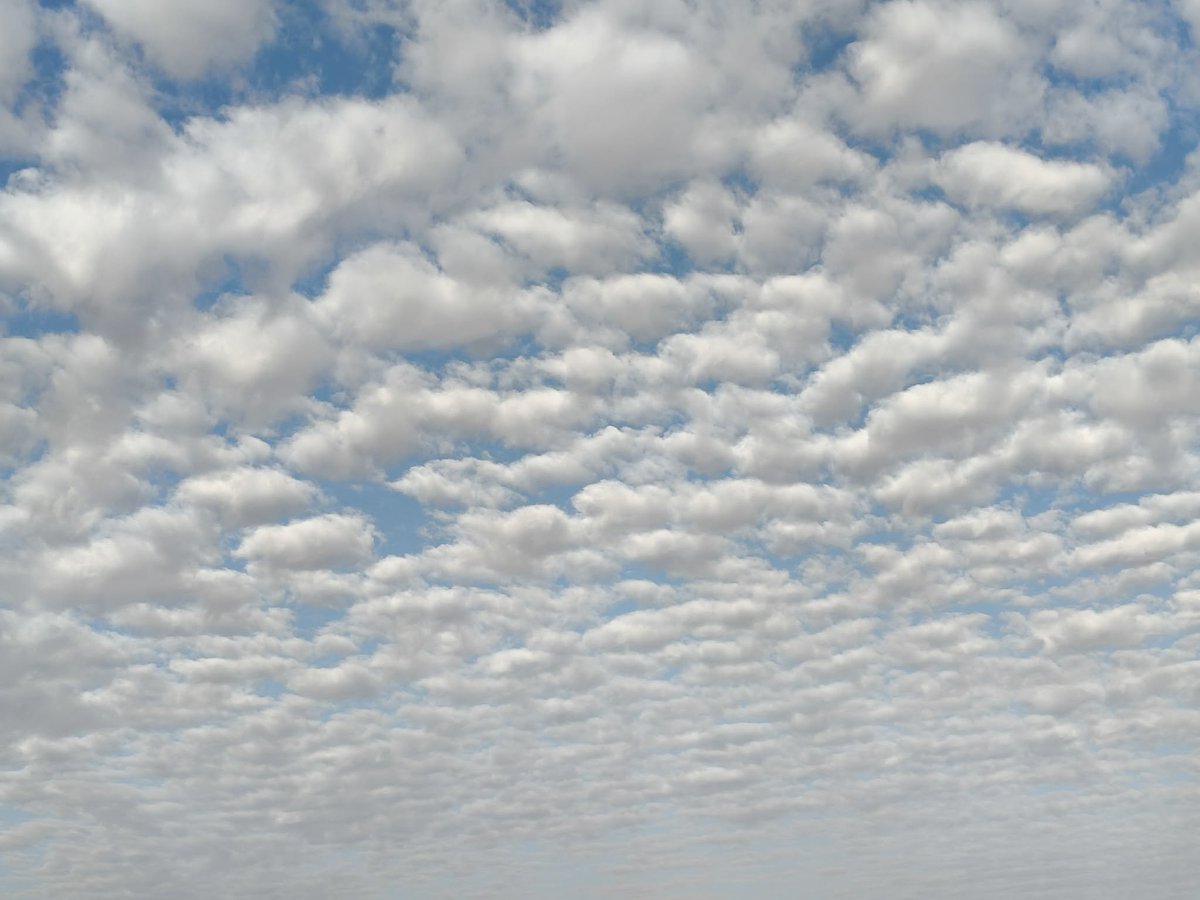 اليومين دول من أنسب الاوقات لتصوير السماء سواء الصبح أو بليل .. السحب عاملة اشكال فوق العظمة ❤️