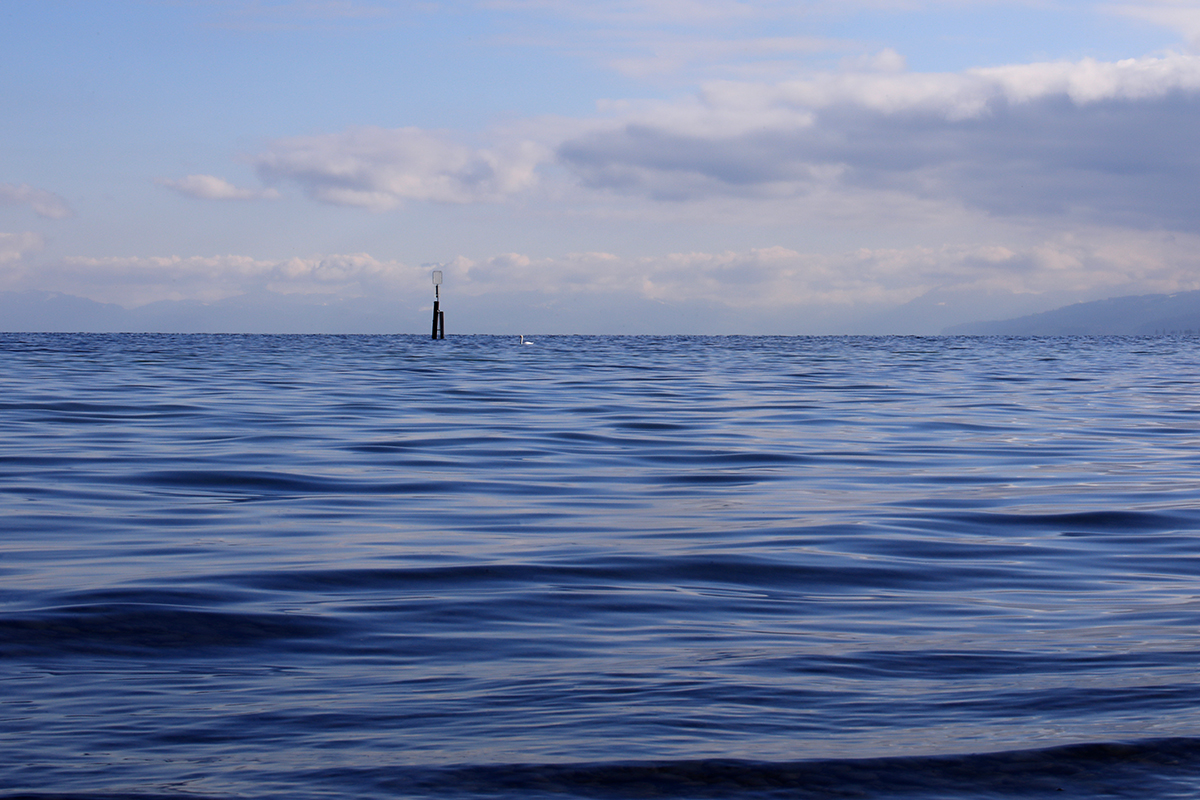 Die Woche bei der neuen Arbeit war so gut, ich hab fast wieder das Gefühl, ein friedvoller Mensch zu sein.