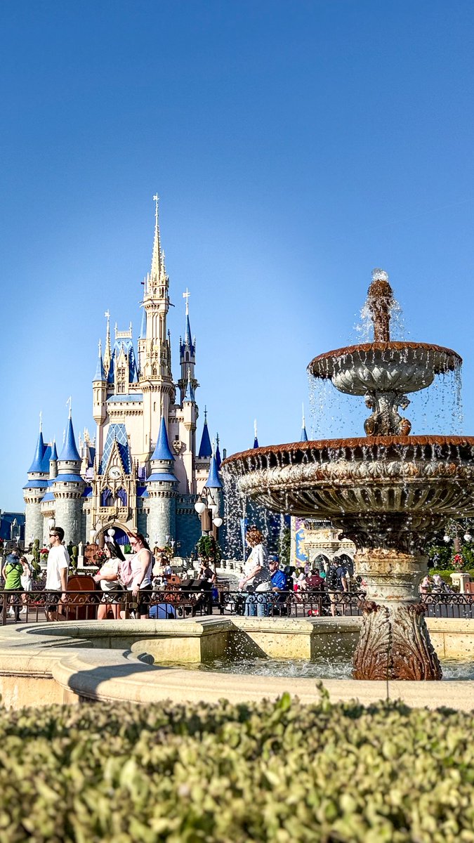 pichi___chapu's tweet photo. 🏰🪄
(ヲタクではありません...がこの歳になってDの良さにようやく気づきました...現実逃避) https://t.co/p9CENOSwgX