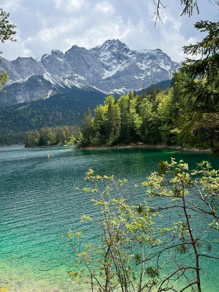 Wa-Bush (@bondzabby) on Twitter photo 