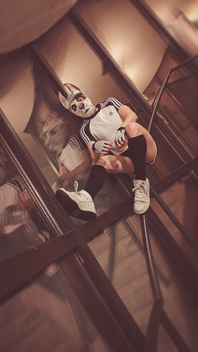 Late night bumming around in the Hyatt with <a href="/pup_cowboy98/">Cowboy</a>

#MFF2025 #MidwestFurFest #pupplay #humanpup #gaypup #humanpupgear #petplay #pupcommunity #grungebunny #grungebunnygear