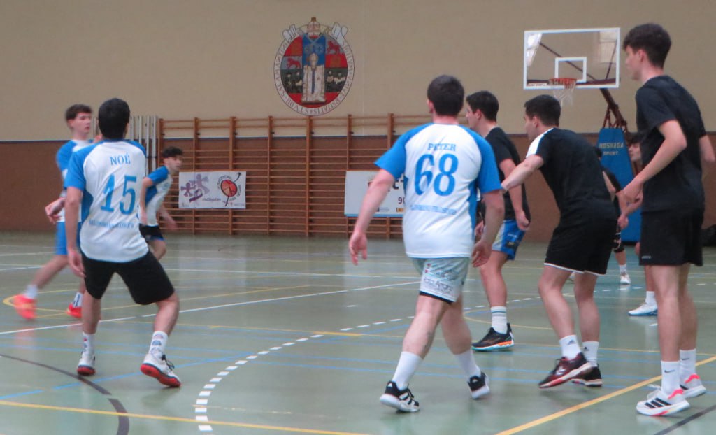 Delegación Provincial de Balonmano de Salamanca tweet media