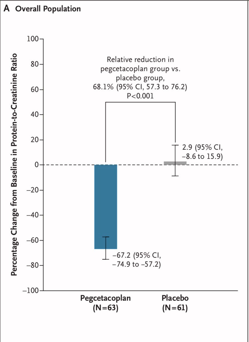 JonathanNefro's tweet photo. En glomerulopatia por C3 o membranoproliferativa primaria, agregar a lo habitual Peg­cet­a­co­plan (inhibidor C3), comparado a no hacerlo:

•↓68% proteinuria
•↓depósito de C3
•Evito ↓6ml/min TFGe
•Además fue seguro

Ensayo clínico VALIANT

NEJM 2025
10.1056/NEJMoa2501510 https://t.co/bCDSSuJ7Fs