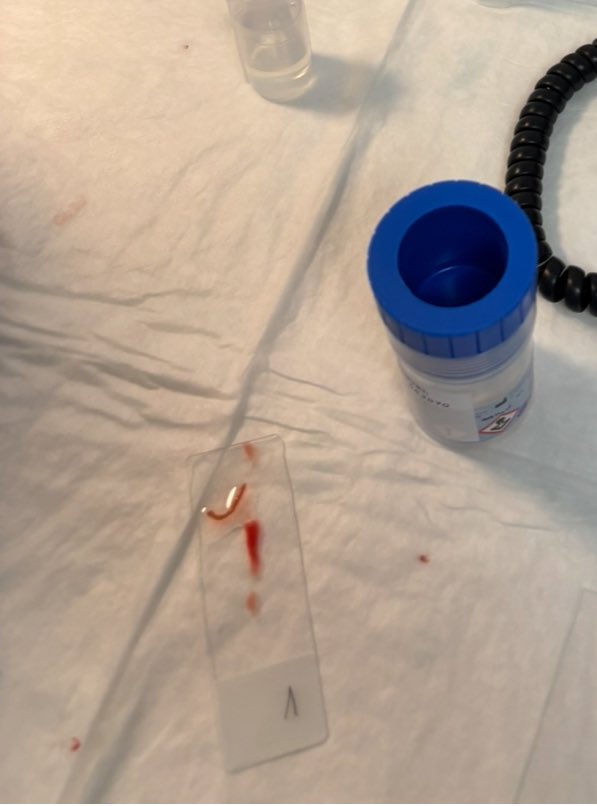 BORIS GONZALES tweet media