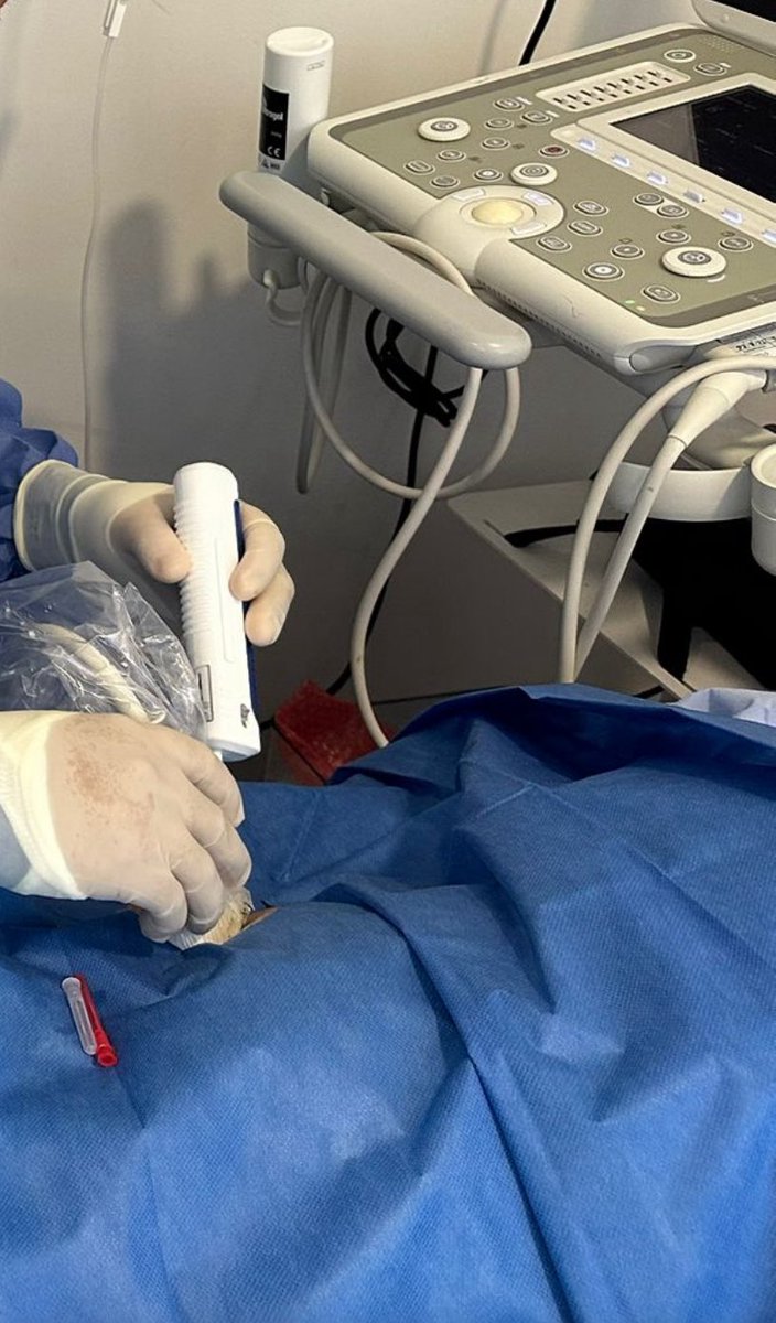 BORIS GONZALES tweet media