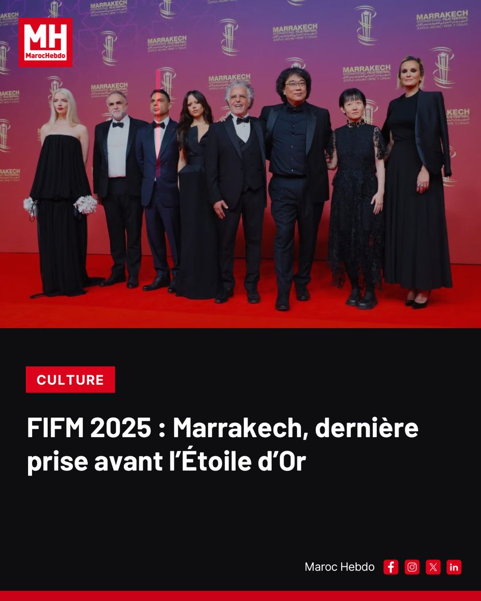 marochebdo's tweet image. Festival de Marrakech : treize films en lice pour l’Étoile d’Or, avec un jury présidé par Bong Joon Ho, à la veille d’une finale très attendue.

➡ maroc-hebdo.com/article/fifm-2…

#FIFM #Marrakech #Cinéma #Compétition #BongJoonHo