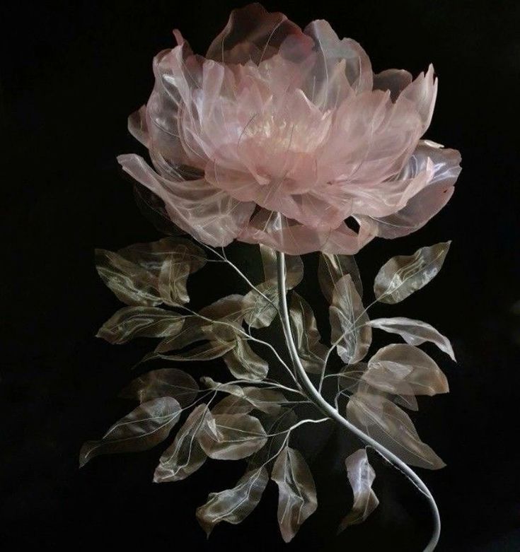 Black. (@blackdreamvibes) on Twitter photo 