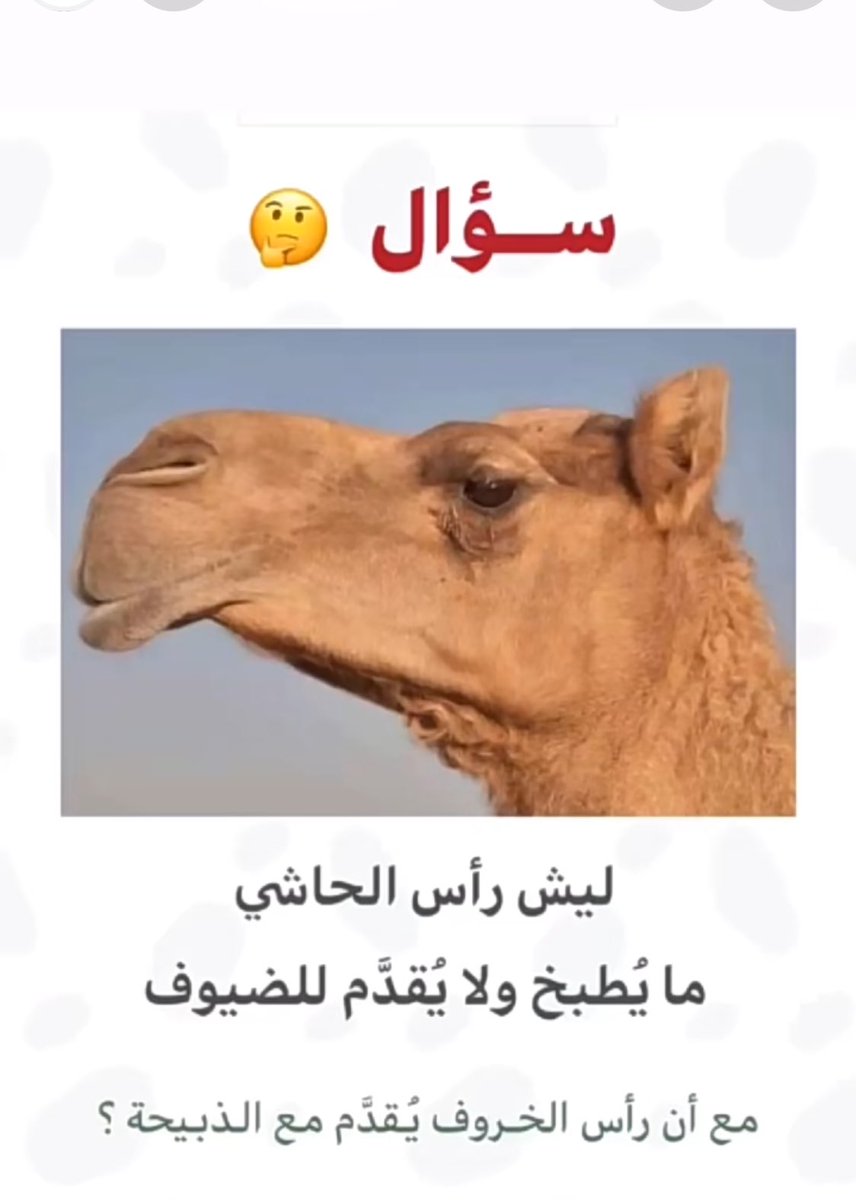 👑 الفيصل 💚 tweet media