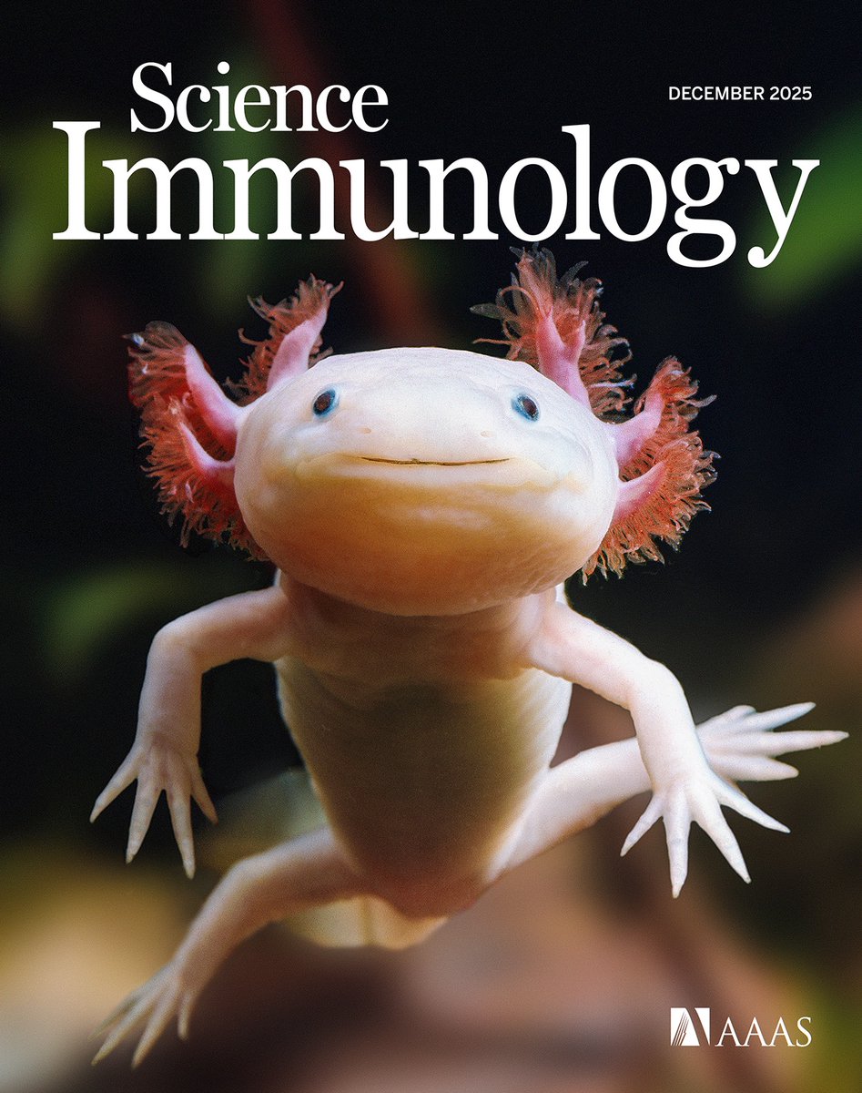 One proposed strategy to promote a youthful immune system and human healthspan is to rejuvenate our thymus gland. Can we learn from this exceptional (and peculiar looking) vertebrate that can do this? <a href="/SciImmunology/">Science Immunology</a> 
science.org/doi/10.1126/sc…