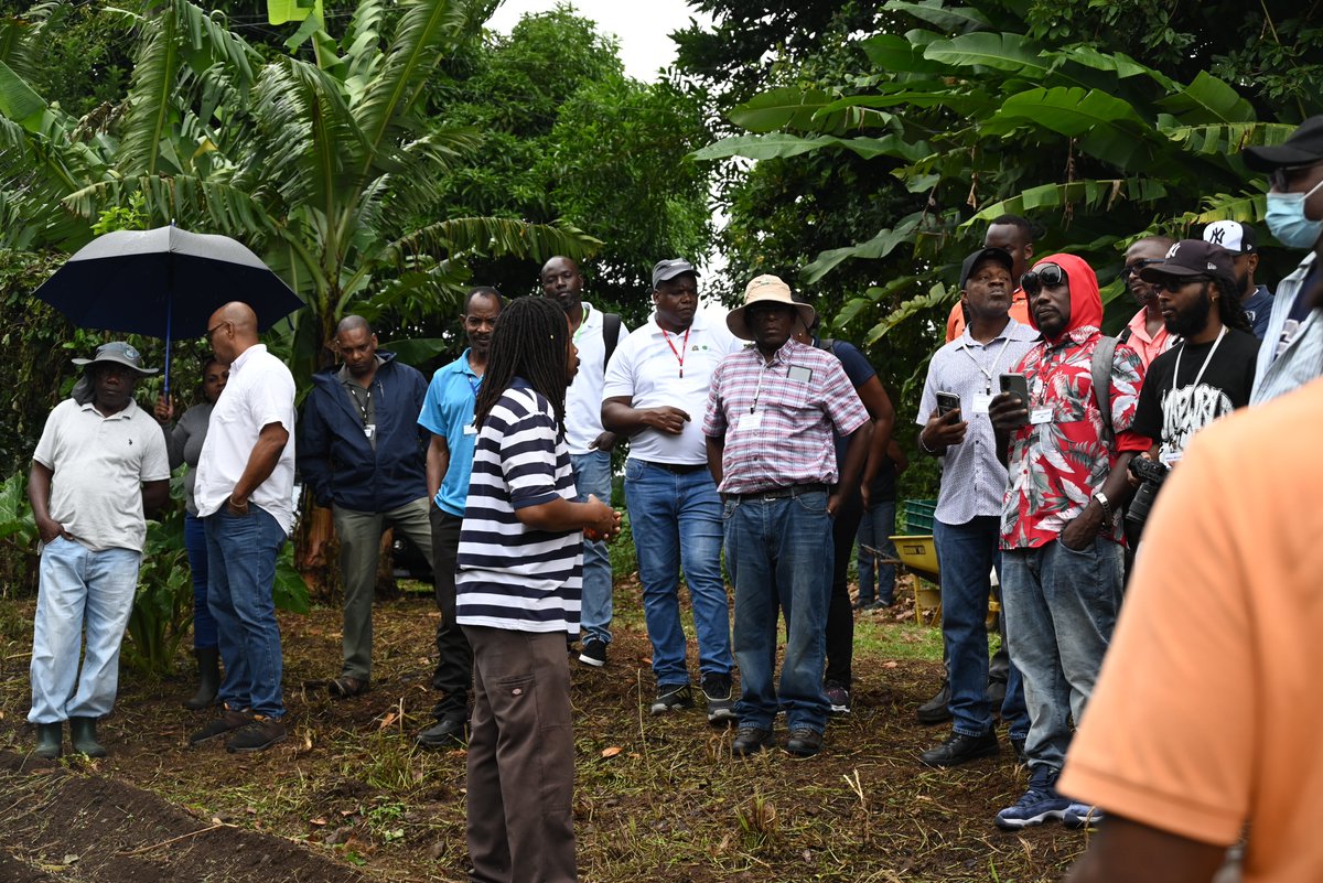 IICA ECS tweet media