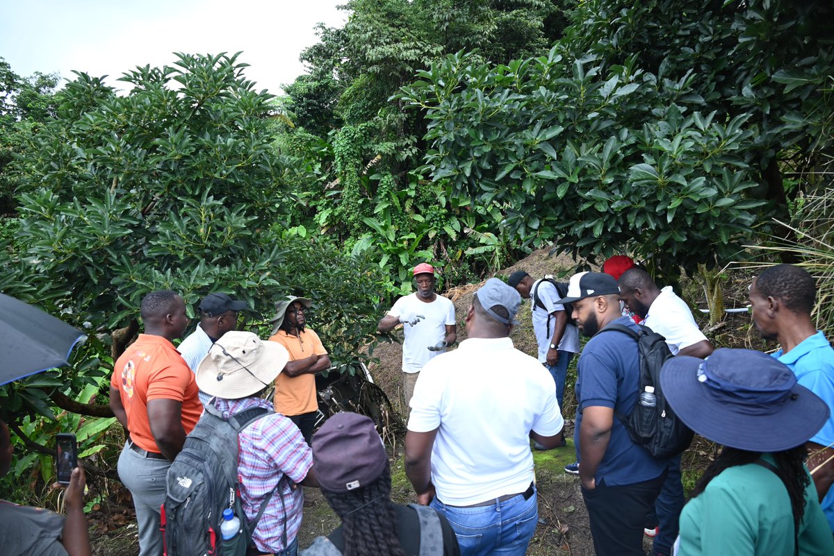 IICA ECS tweet media