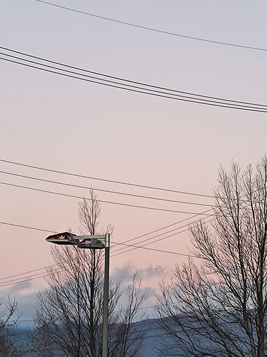 いーちゃん。 tweet media