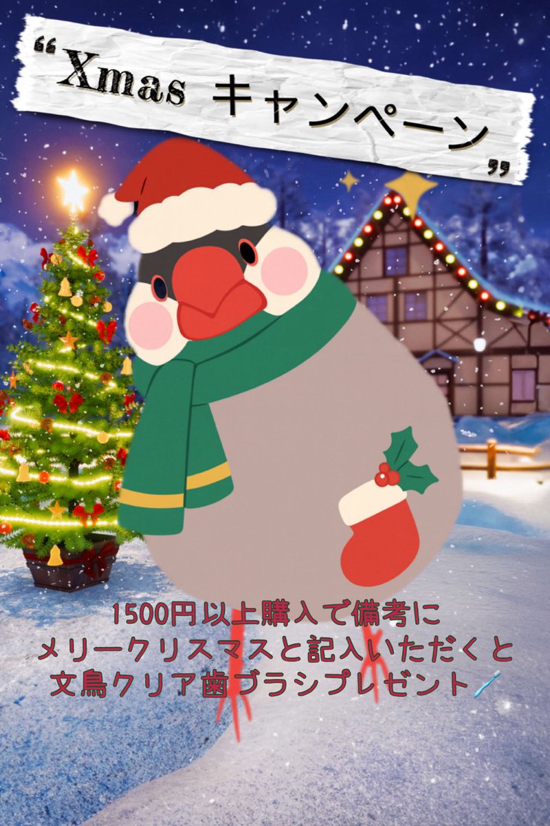 hariharihariko's tweet photo. ✼••┈┈••✼••┈┈••✼••┈┈••✼••┈┈••🎄Xmasキャンペーン🎅
1500円以上購入で備考にメリークリスマスと記入いただくと、文鳥クリア歯ブラシプレゼント🪥✨🎁
#クリスマス #文鳥 #クリスマスプレゼント

https://t.co/J3AghsfY1j https://t.co/Dl5SkBV4iw