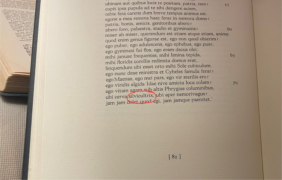 Is there any more beautiful Latin word than silvicultrix, ‘she who dwells in the woods’?