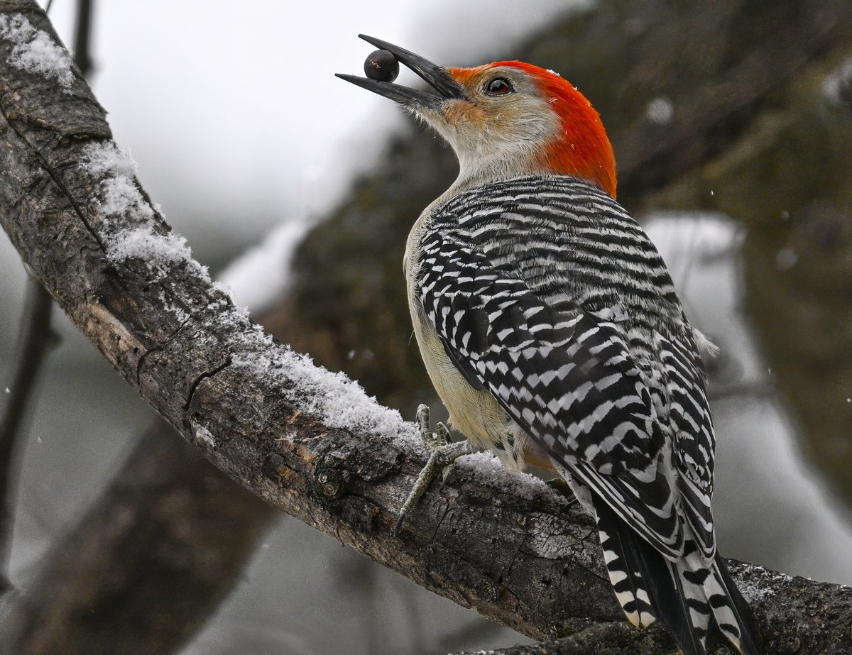 Parameswaran Ponnudurai tweet media